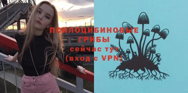 spice Алзамай
