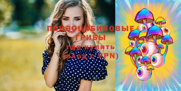 spice Алзамай
