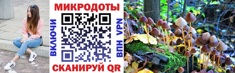 Псилоцибиновые грибы GOLDEN TEACHER  Осинники 