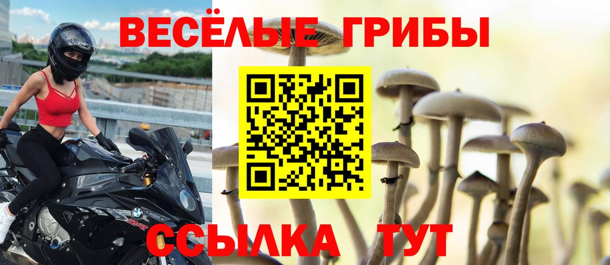 Псилоцибиновые грибы мицелий  Псилоцибиновые грибы ЛСД  Вход с VPN  Осинники 
