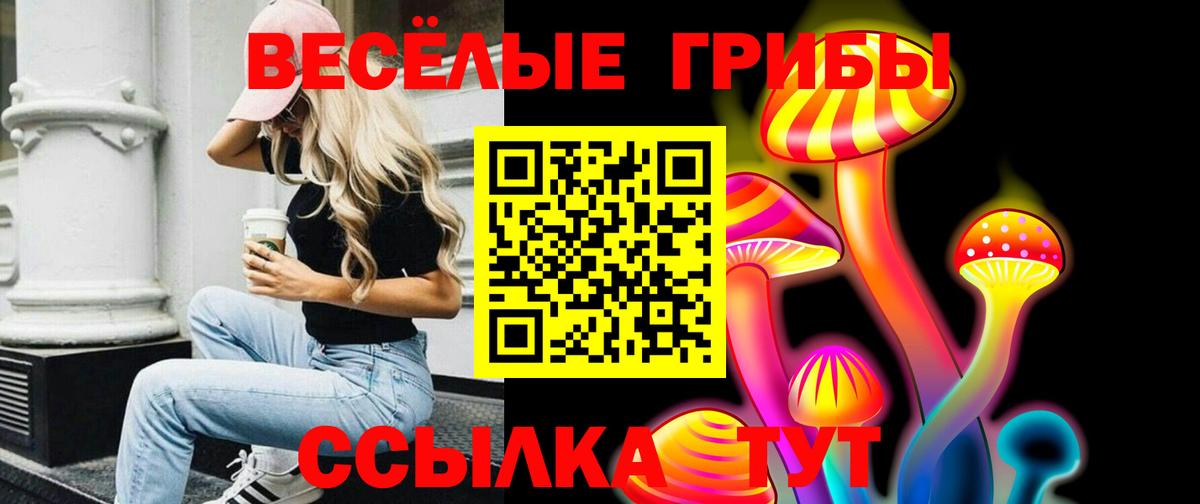 Галлюциногенные грибы Psilocybine cubensis Осинники